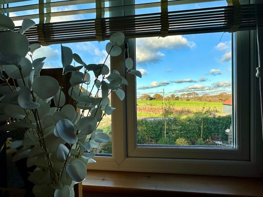 View from master bedroom