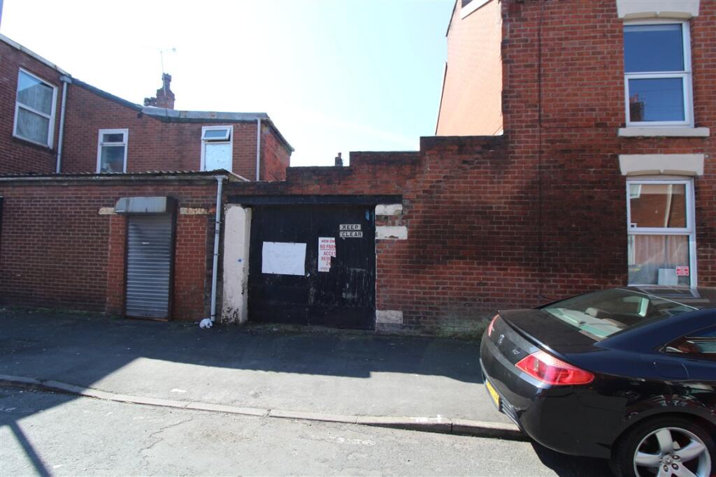 IMG 4894  Medium  T202504091055.jpg