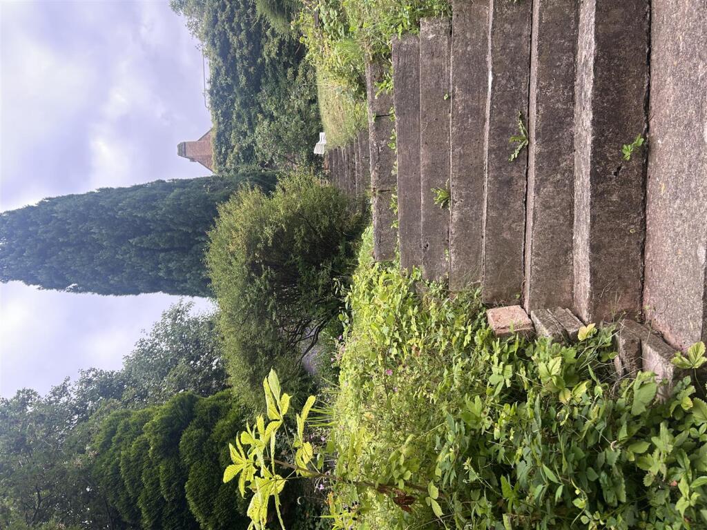 IMG_1571.JPEG