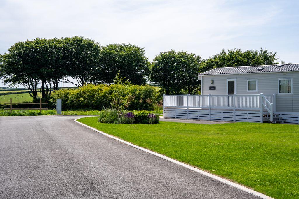 2025 Stowford Farm Meadows Photoshoot 430