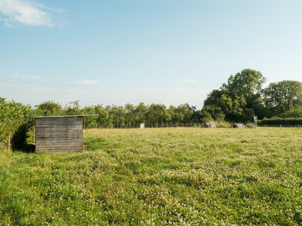 The Field.jpg