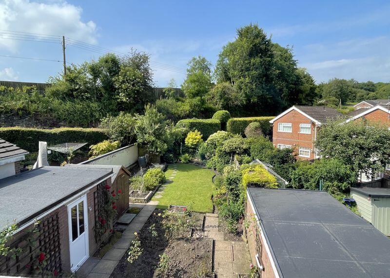 Garden (Summer Photograph)