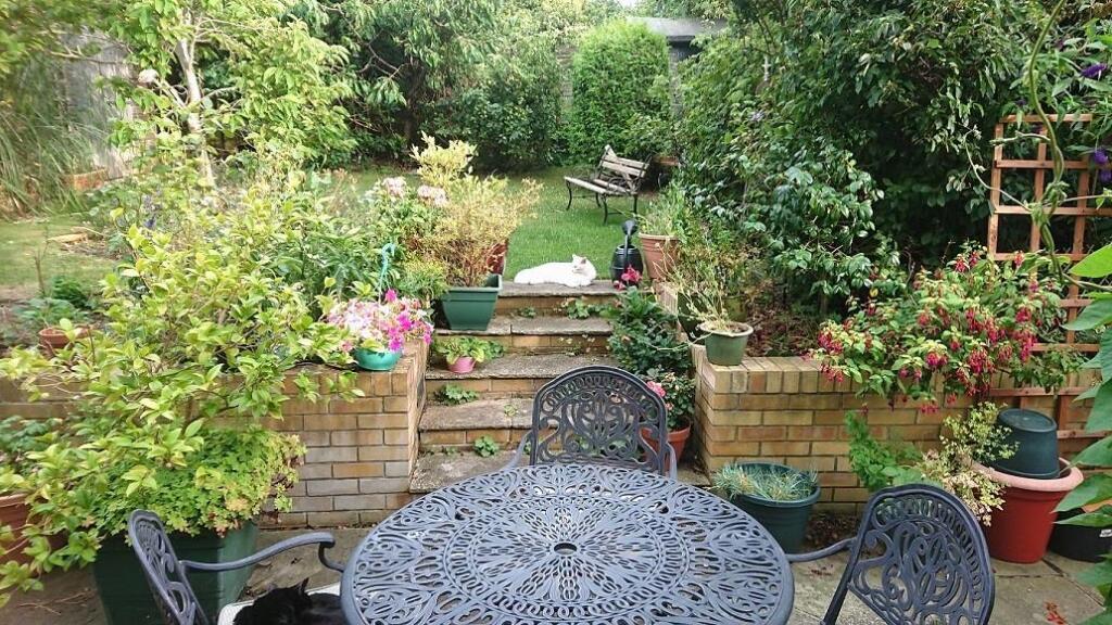 Garden D.jpg
