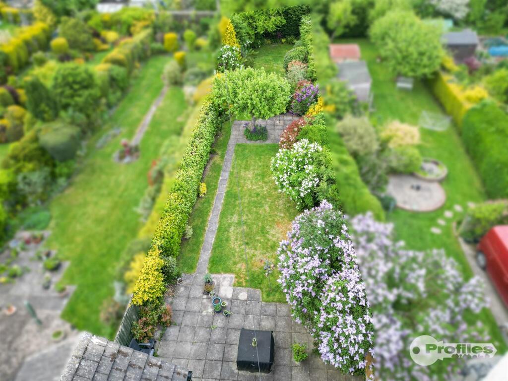 DJI_0245.jpg