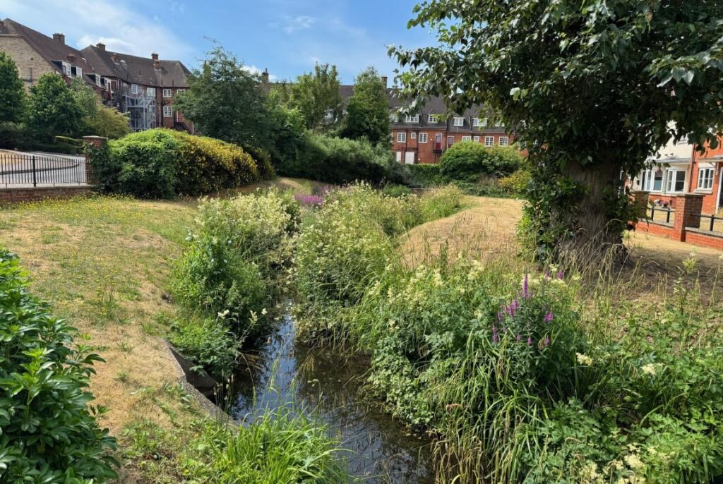 Stream  Medium   Medium  T202510091109.jpg