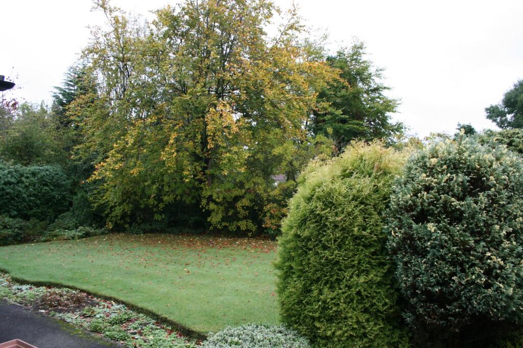 Photo12