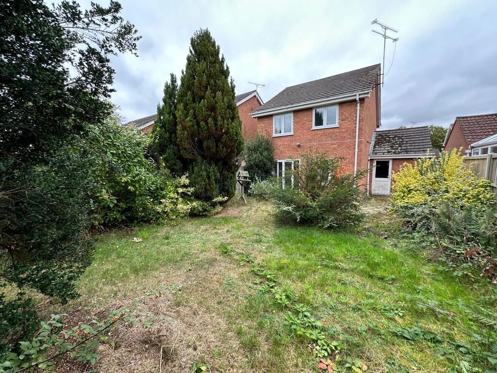 IMG-20251014-WA00...