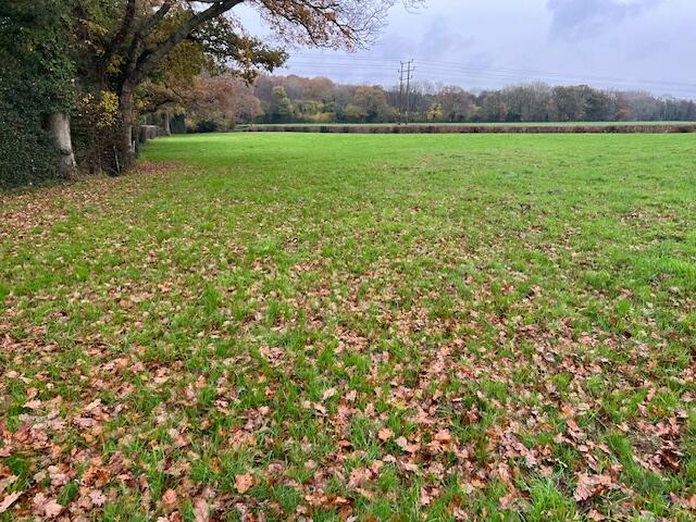 Lot 5