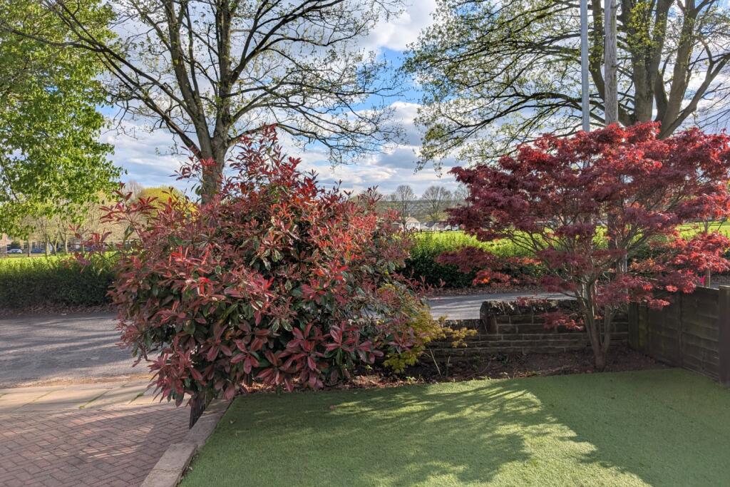 PXL_20250417_160231594