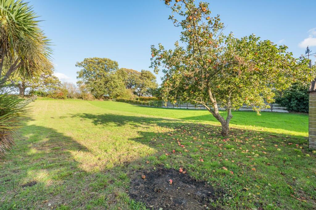 Garden to rear