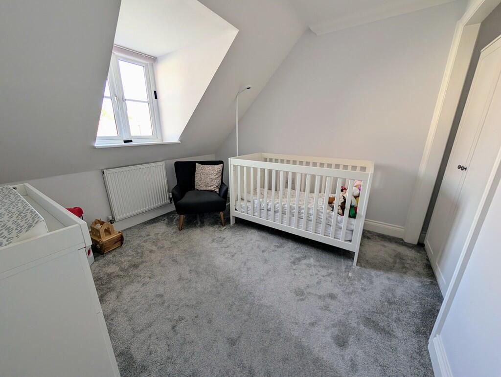 PXL_20241016_1006...