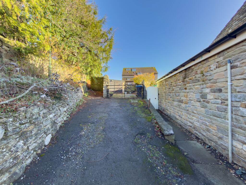 IMAGE 11