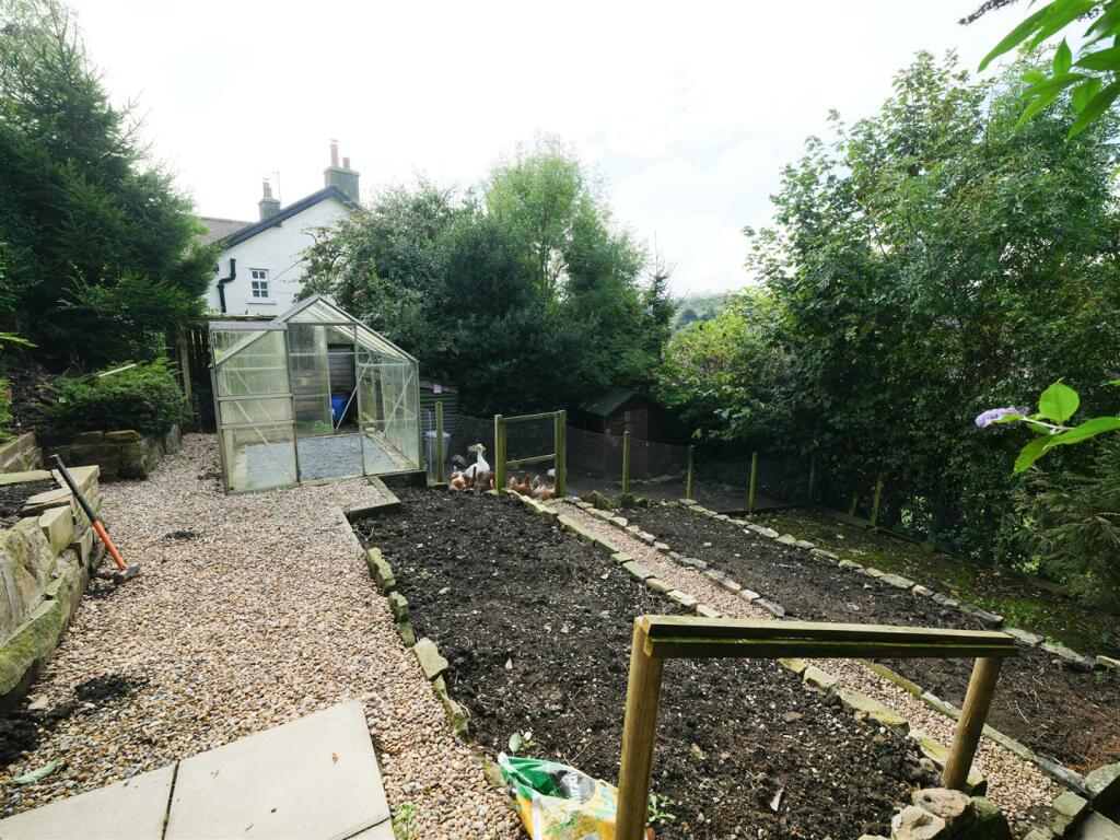 VEG PLOT