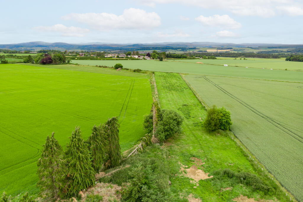 Grounds &amp; Views