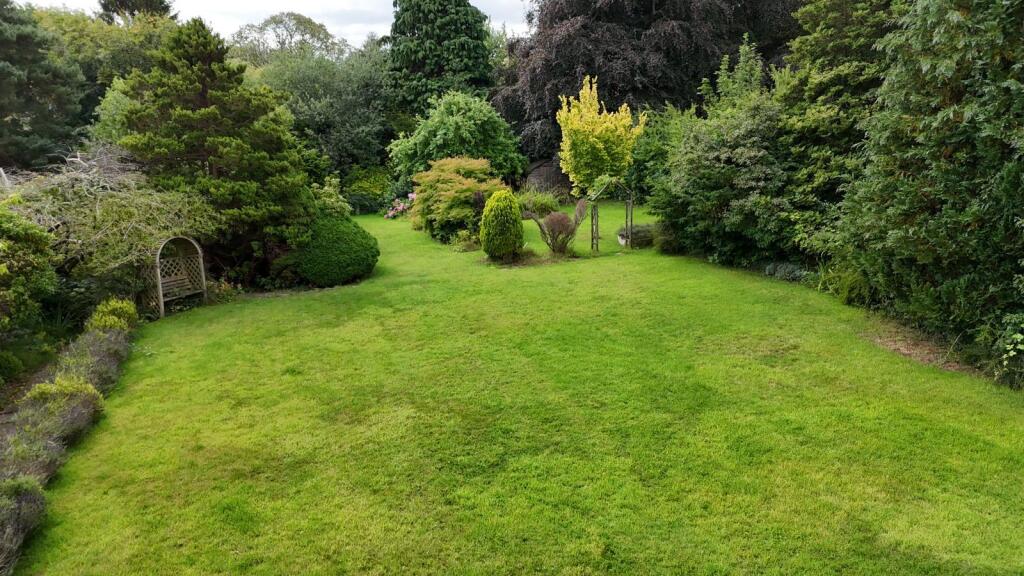 PHOTO-2025-07-29-10-22-22 4.jpeg