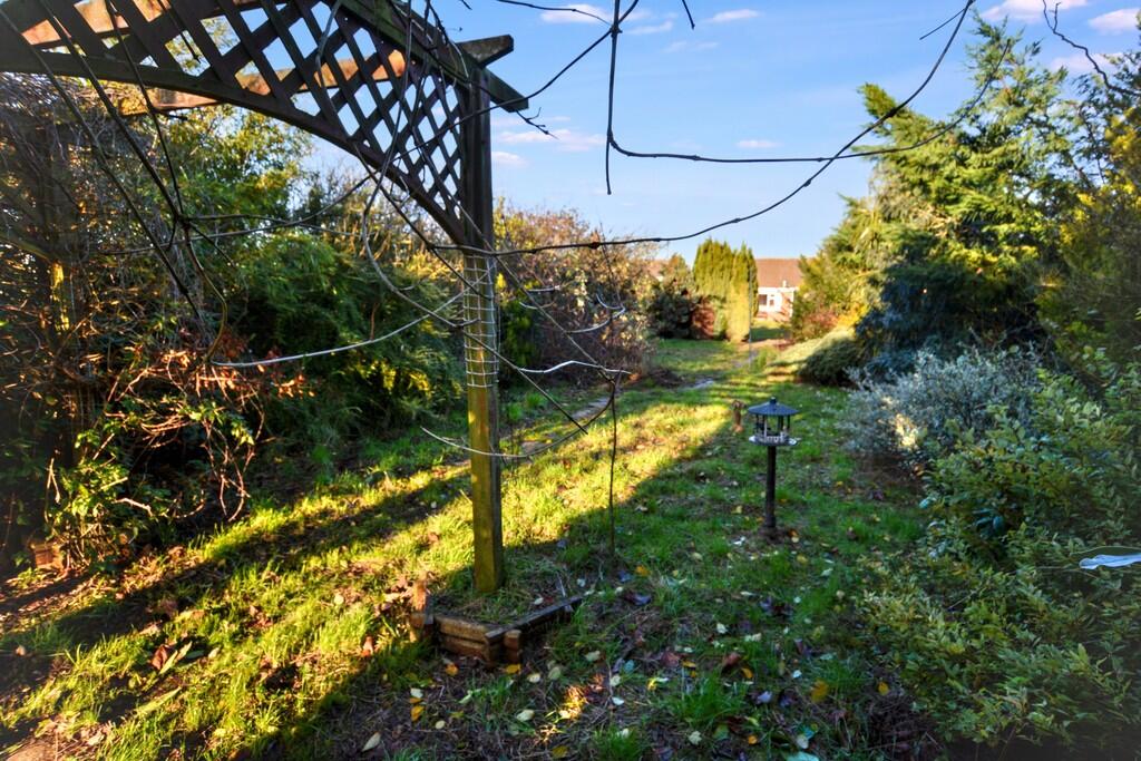 Rear Garden - 2