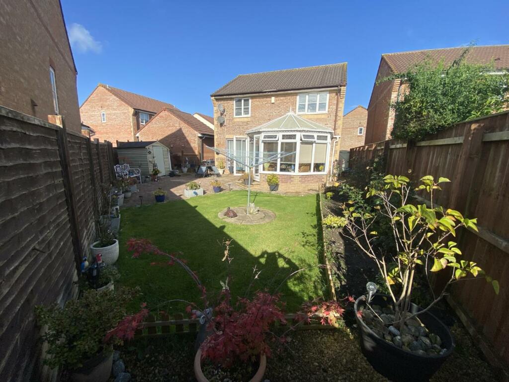 IMG_0598 (Large).JPG