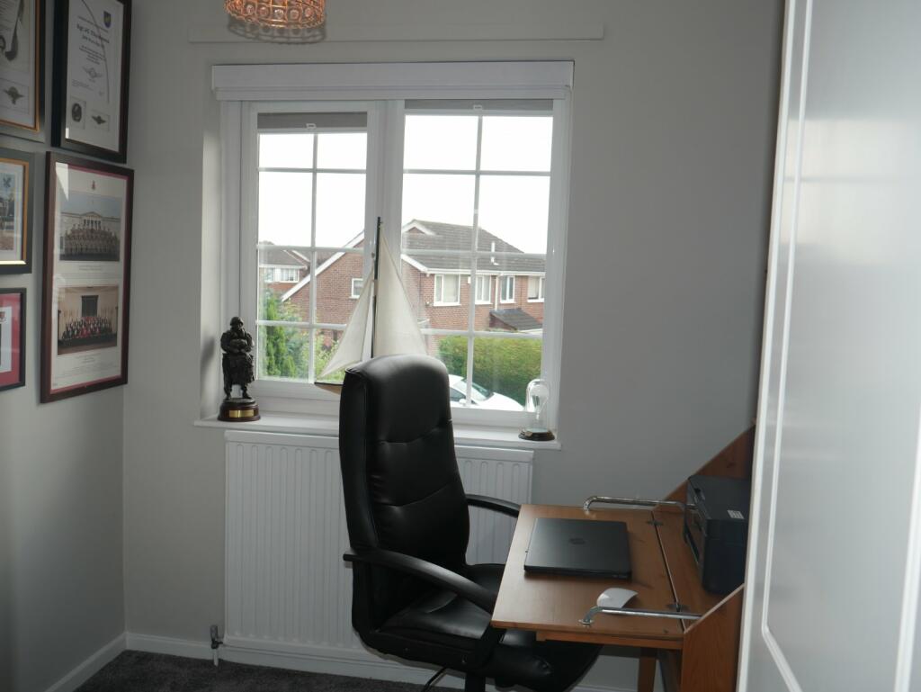 Picture 14