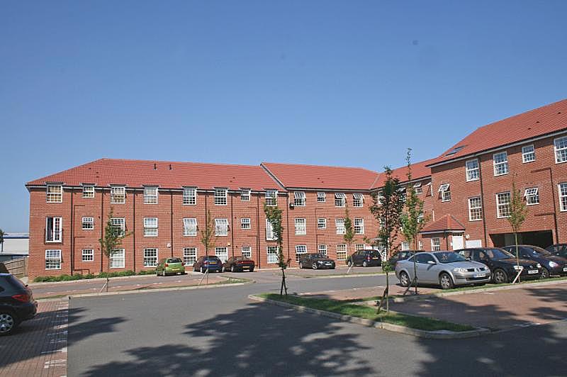 Rear Aspect