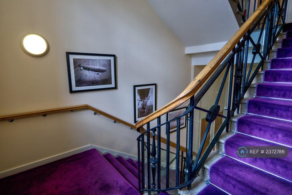 Clean Stylish Stairwells