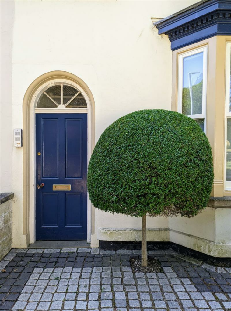 OUTSIDE/ GARDEN