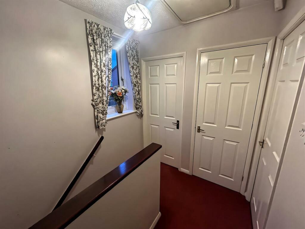 IMG_2747 (Large).JPG