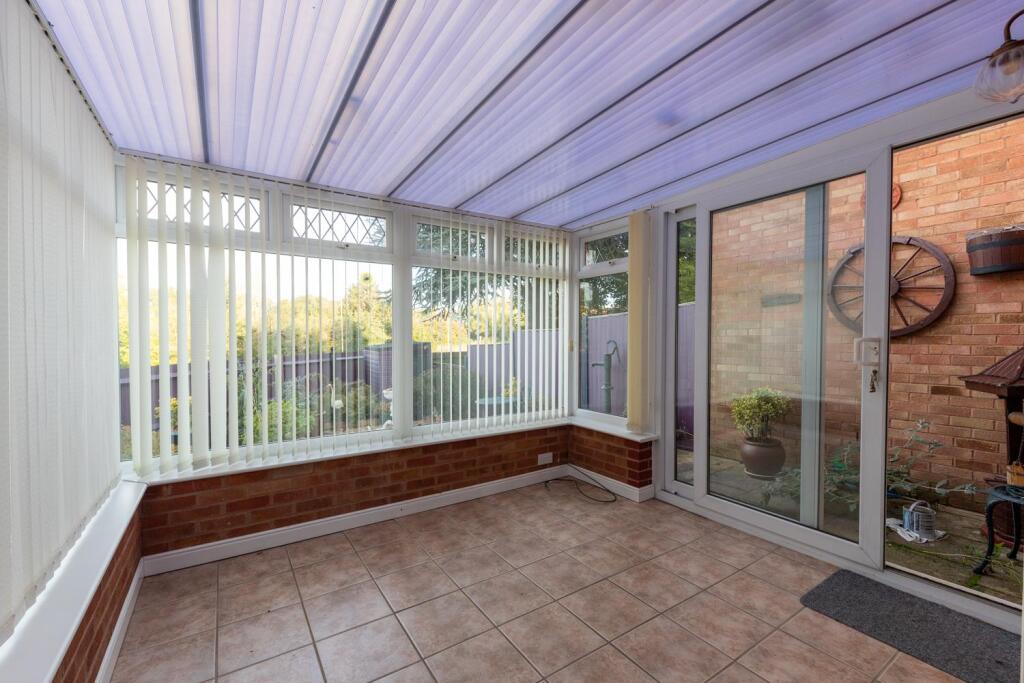 30 Sanderling (10 of 15).jpg