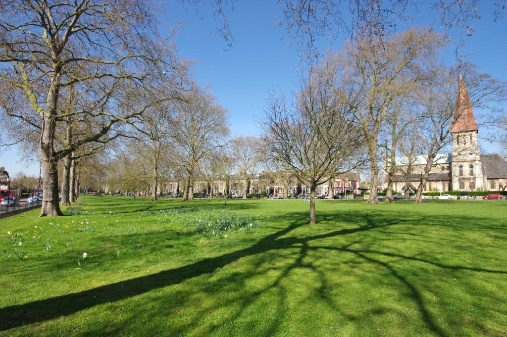 Goose Green