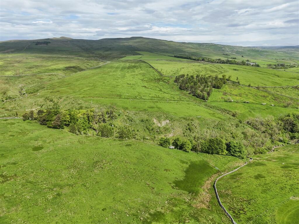 Land at Dykelands Lot 2_0029.jpg