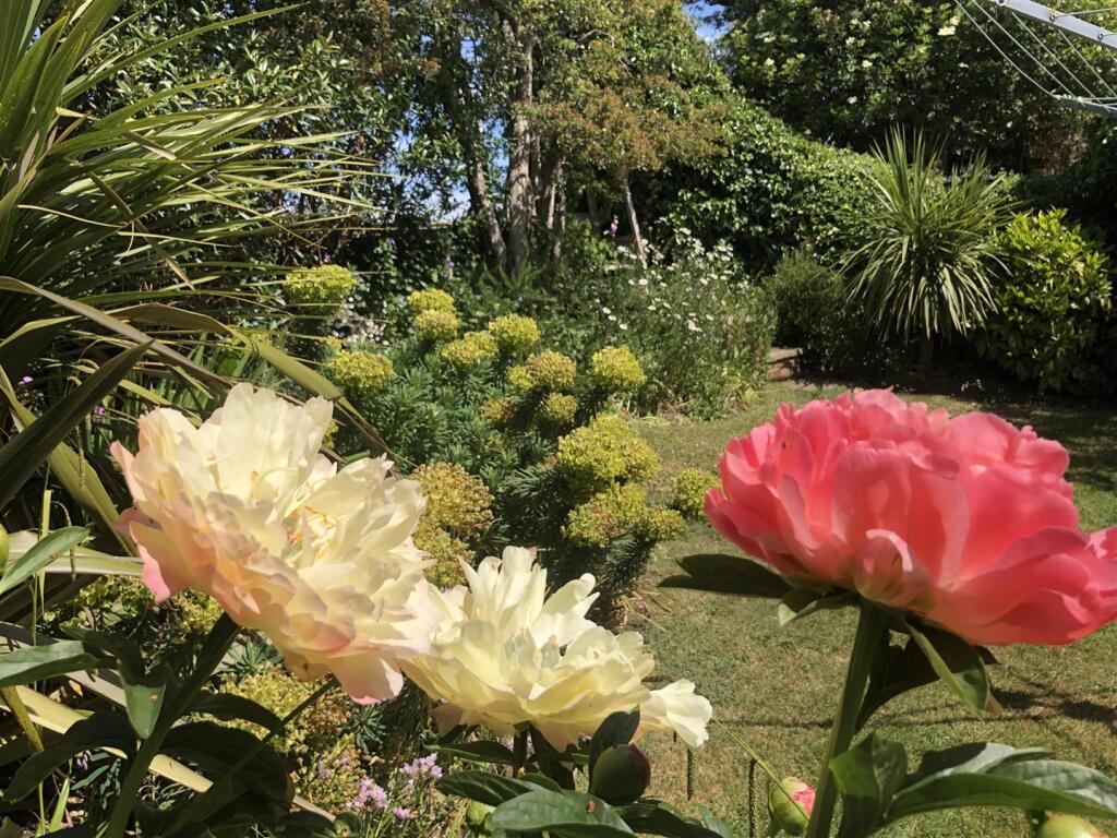 Garden 3.jpeg