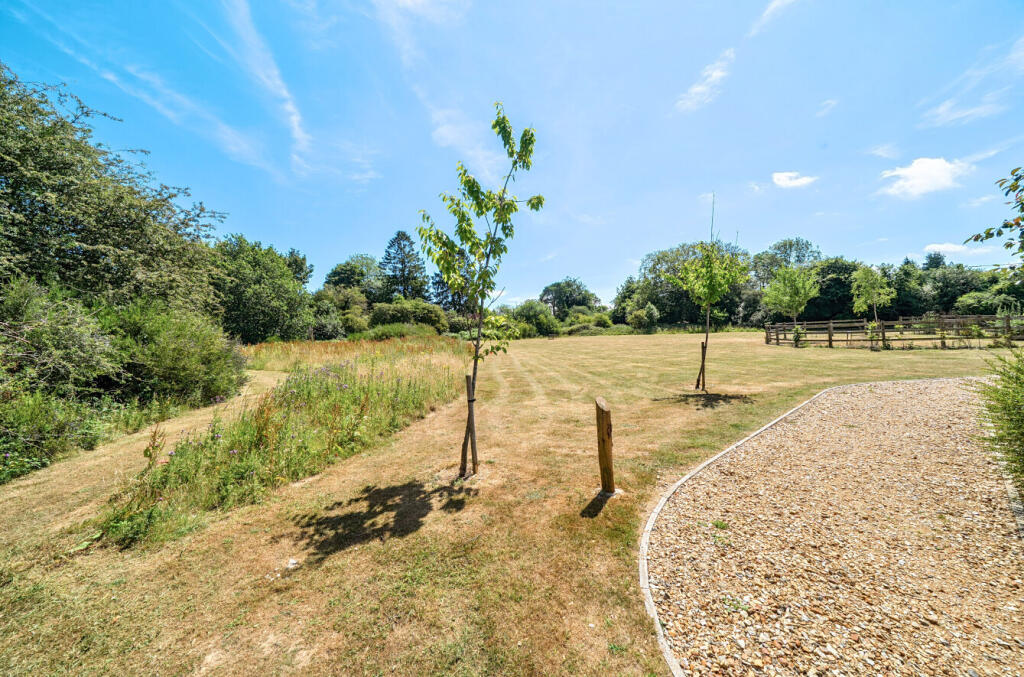 1313675-1-685e8b0...