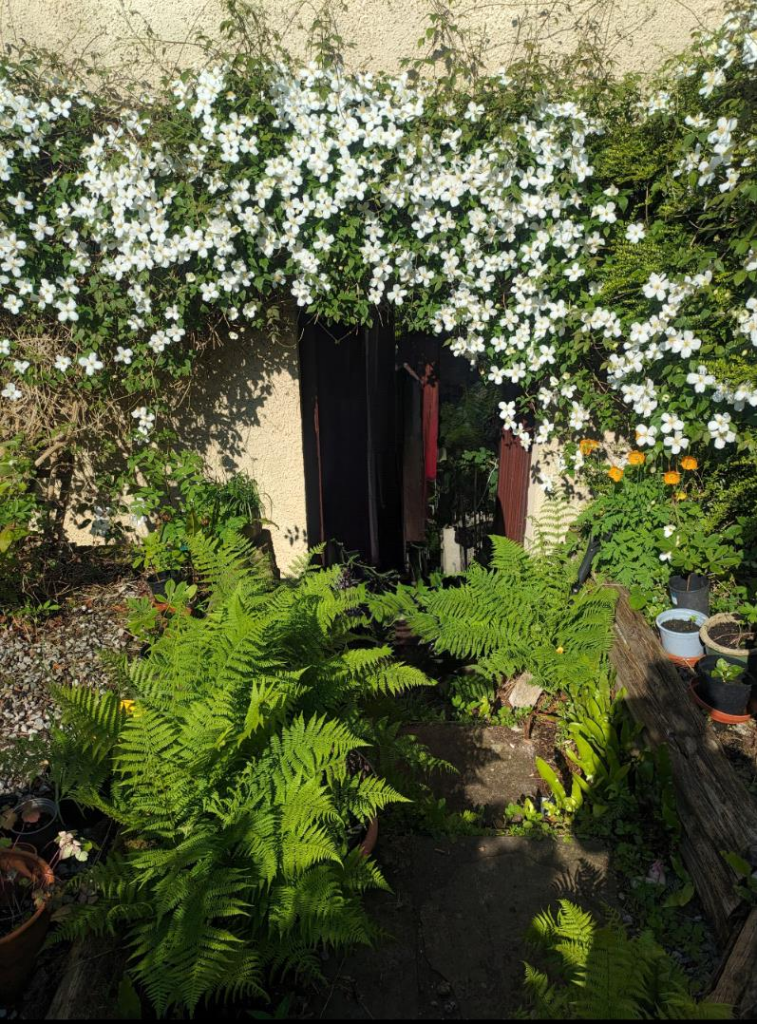 CURRENT OWNERS PHOTOS