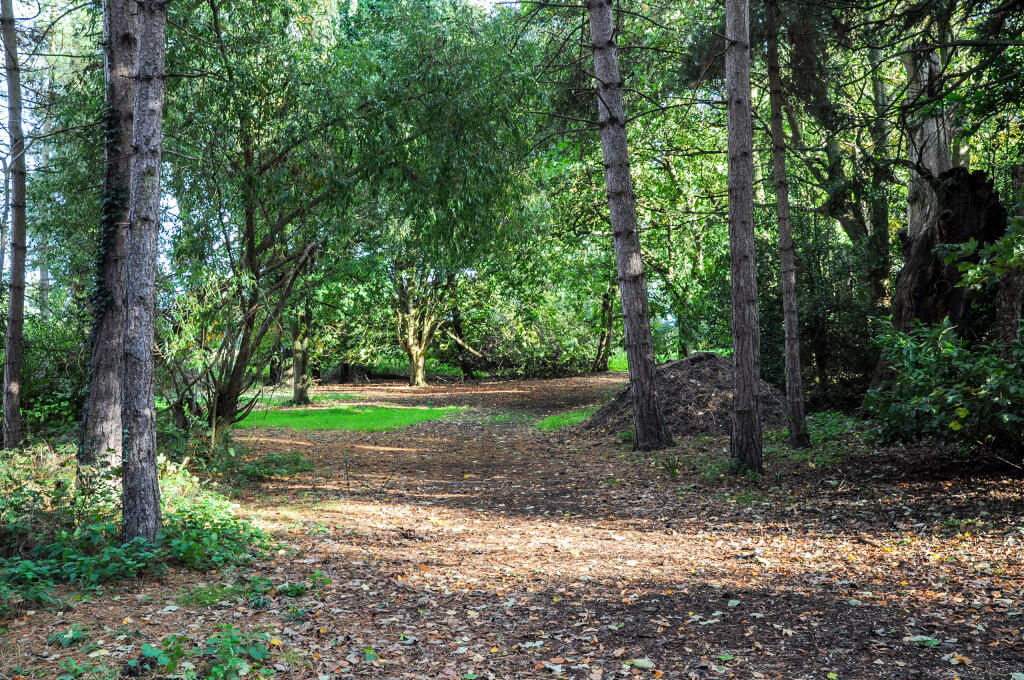 Local Walk