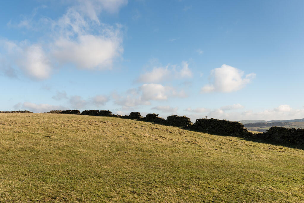 Local area
