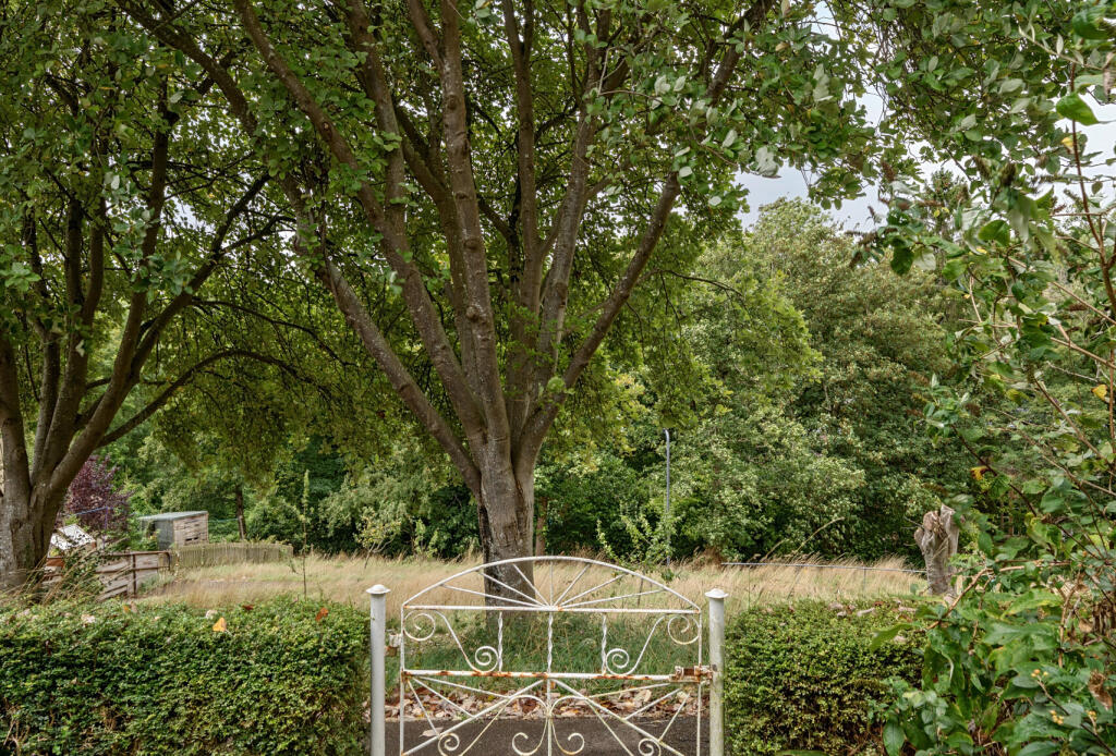 1343514-17-68b821...