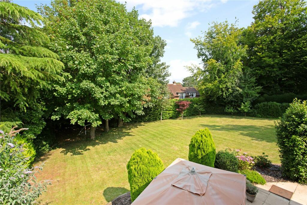 Back Garden