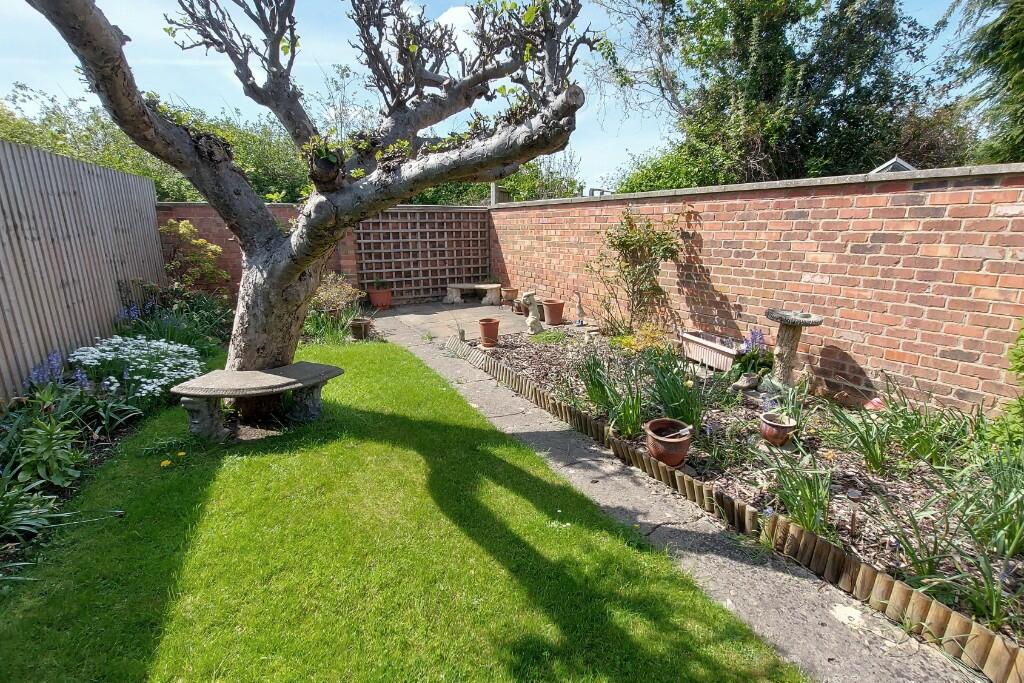 Garden (3) 