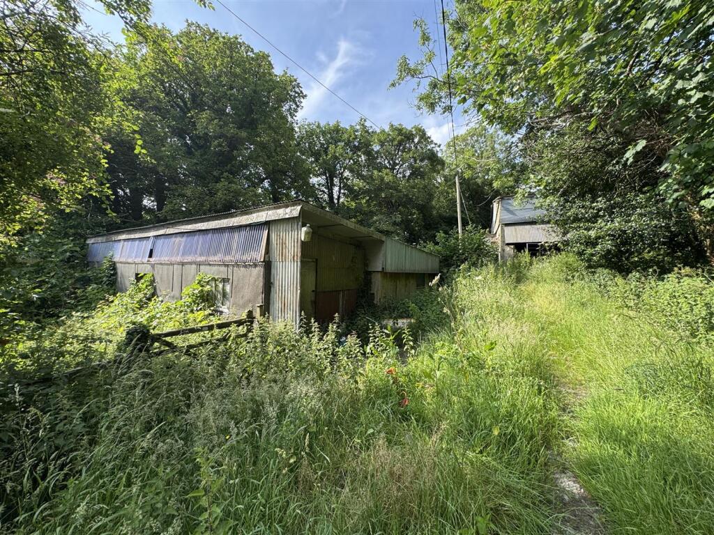 Sycamore Down Farm