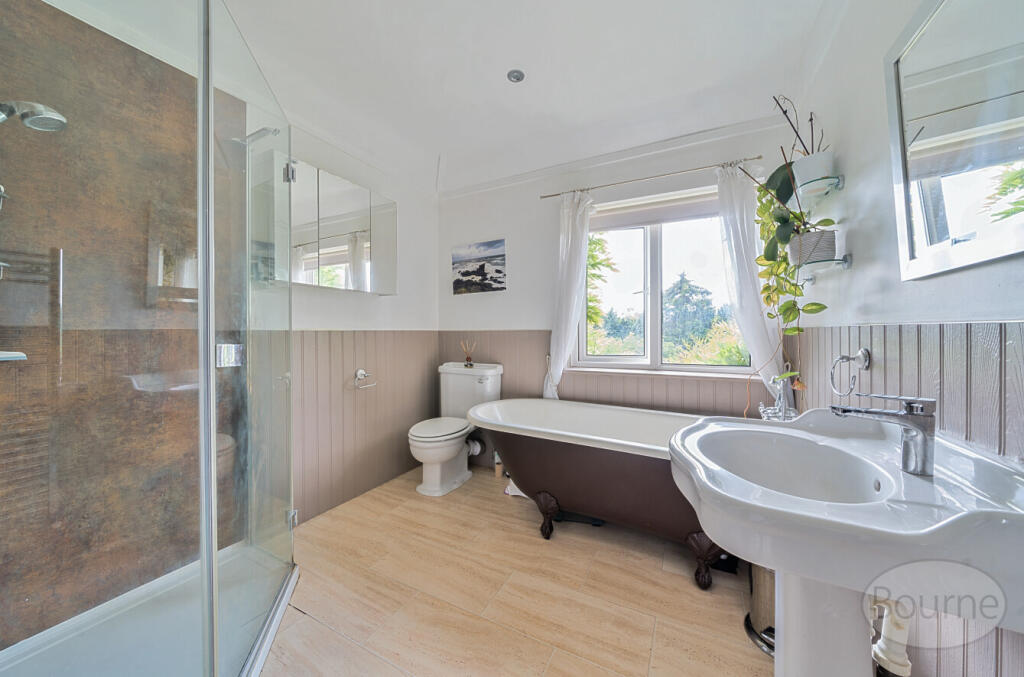 55478b2f-f861-41f...