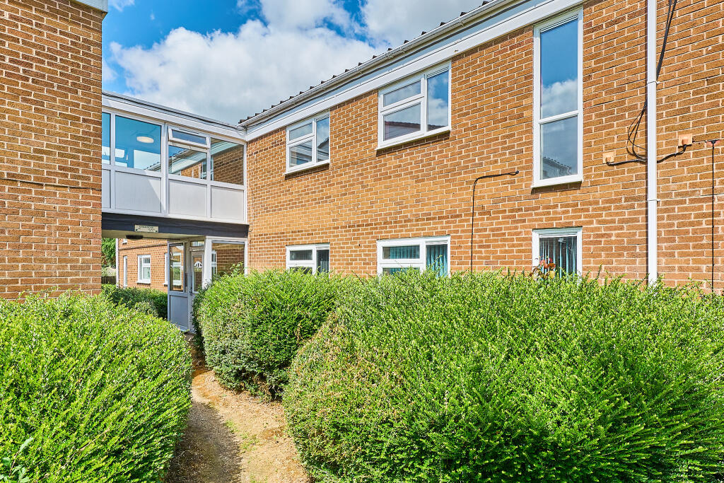 P1462766 T202506021824.jpg