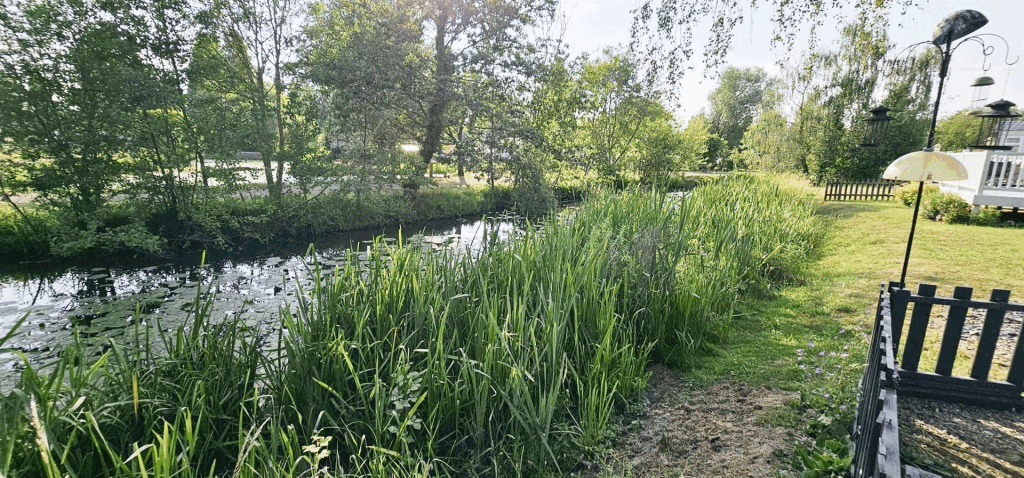 garden4.gif