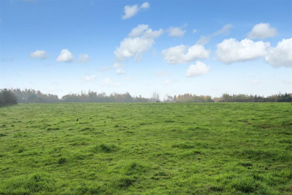 cow-field-.jpg