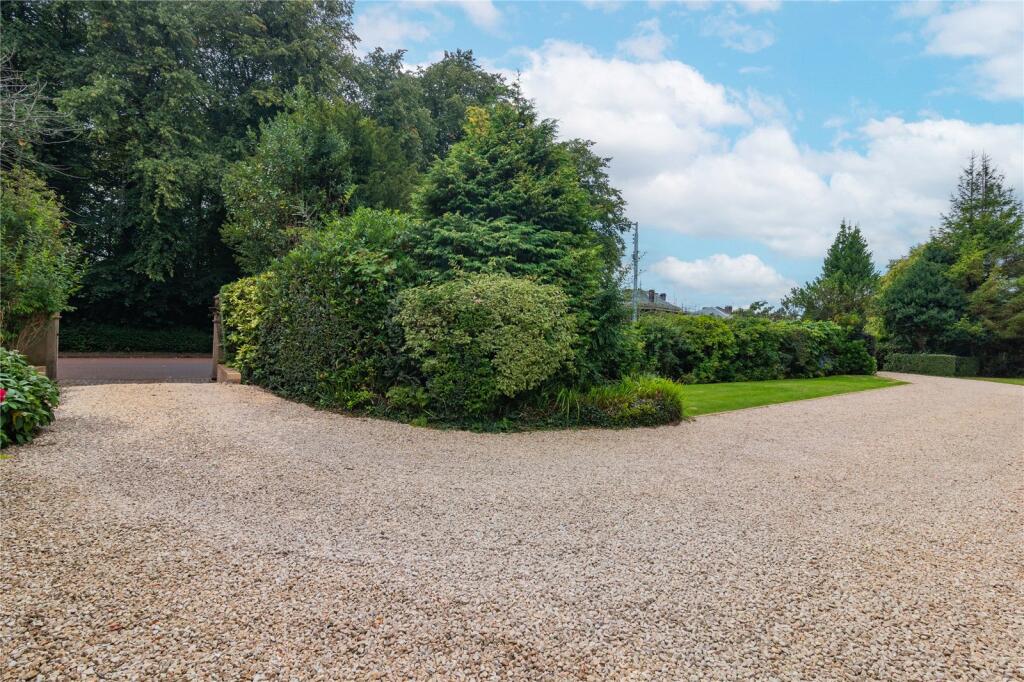 Driveway