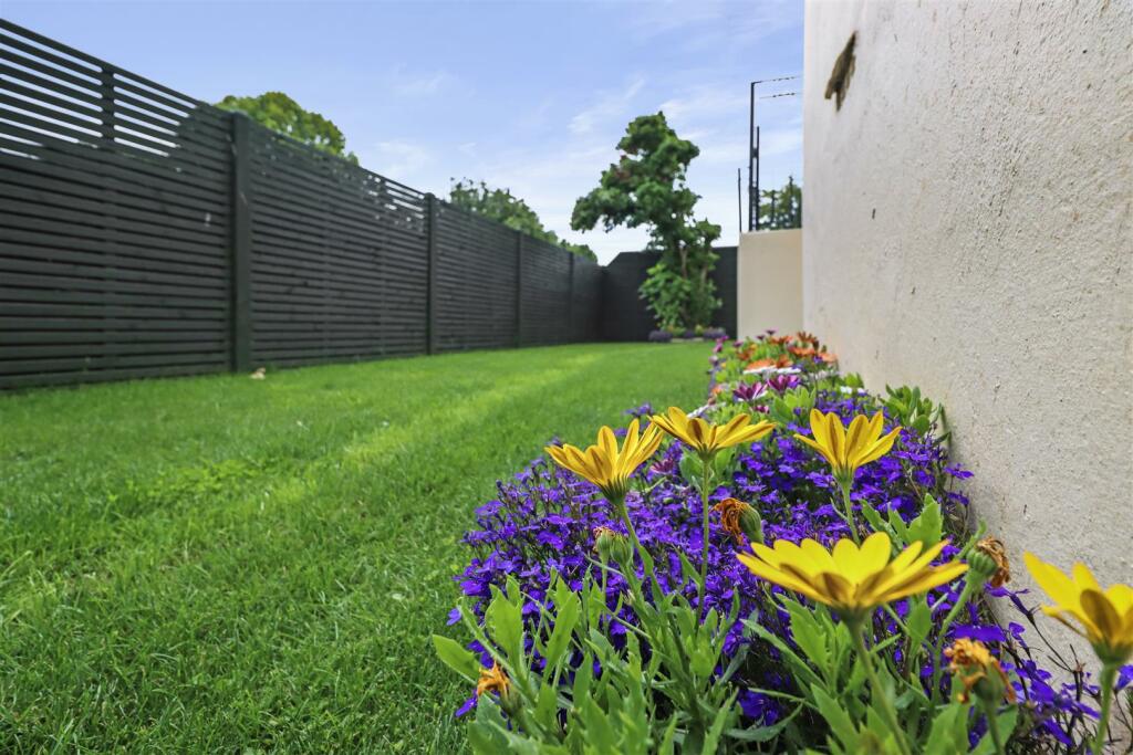 garden #6.jpg