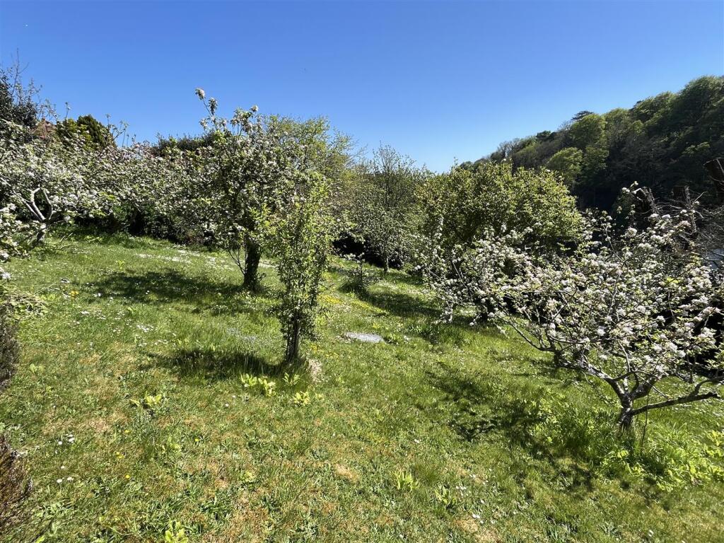 garden 3.JPG