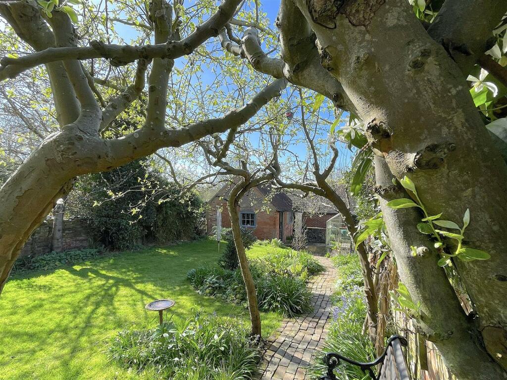 Garden (6).jpeg