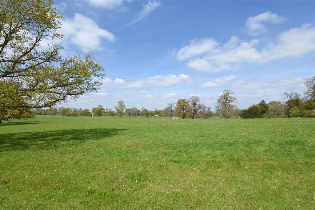 Kirt Park 1.jpeg