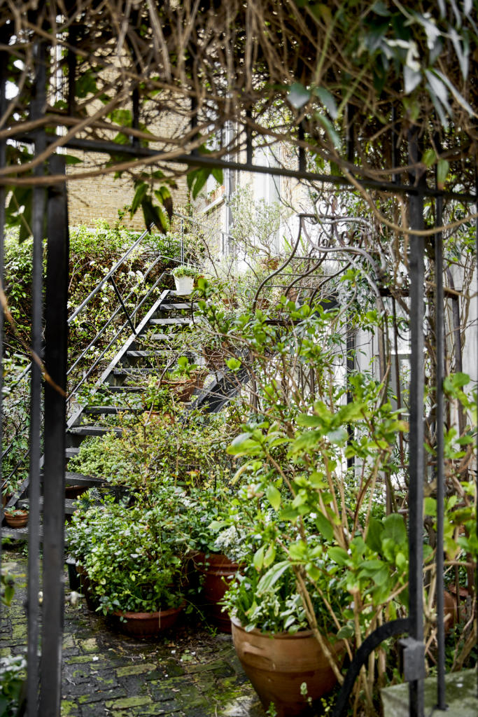 Canonbury-Lane-DG-23.jpg