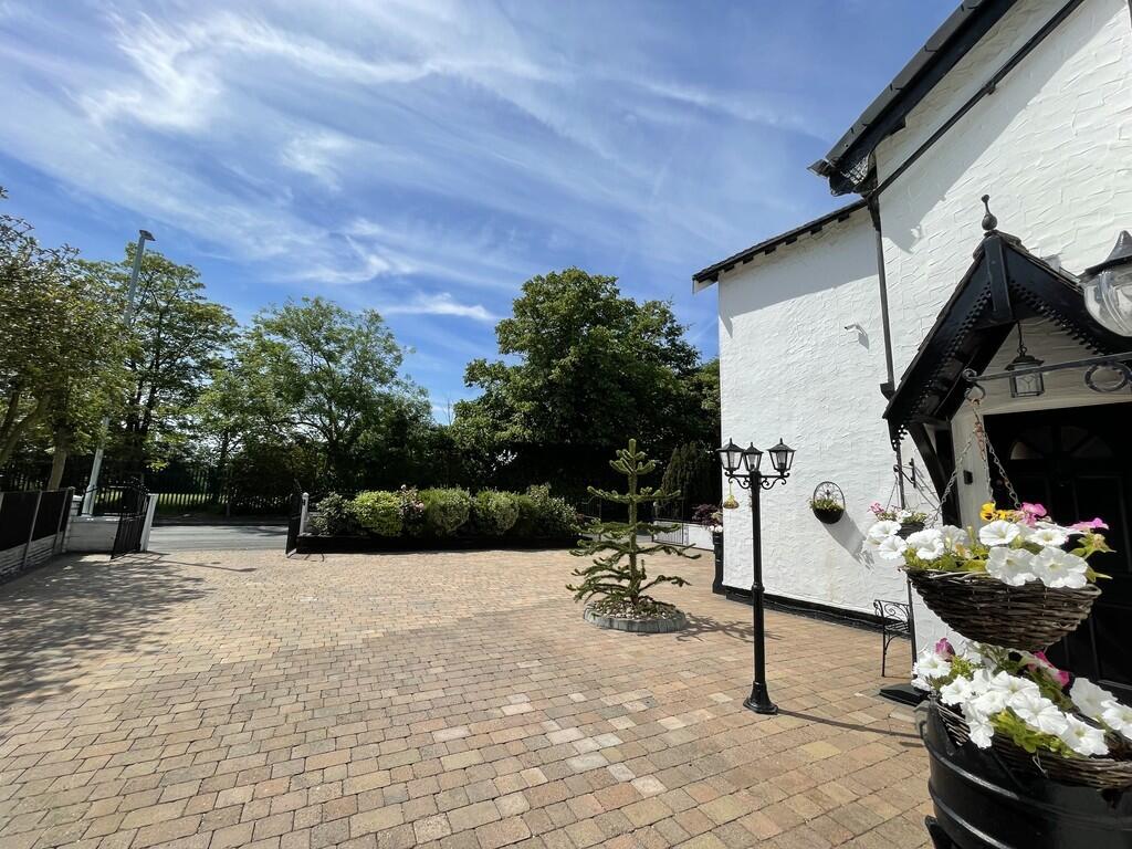 IMG_2201_100_larg...