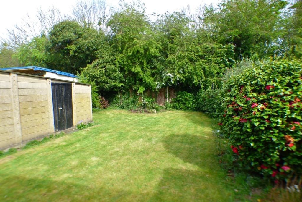 Garden 1